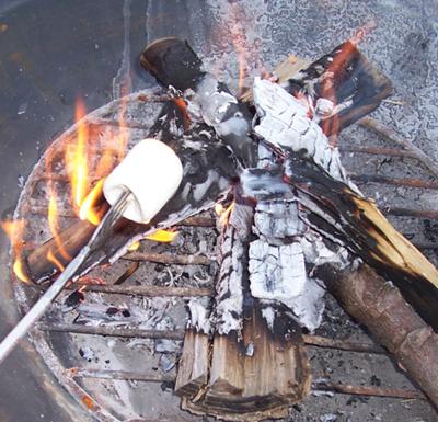 Toasting the Perfect Marshmallow